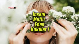 İnsanı Mutlu Eden Kokular !