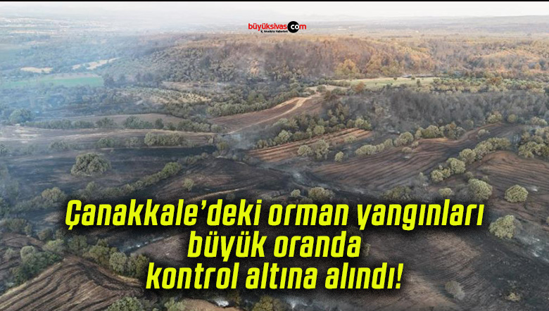 Çanakkale’deki orman yangınları büyük oranda kontrol altına alındı!