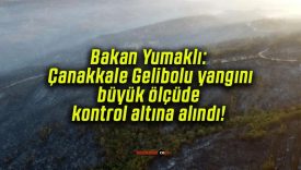Bakan Yumaklı: Çanakkale Gelibolu yangını büyük ölçüde kontrol altına alındı!