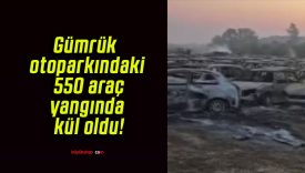 Gümrük otoparkındaki 550 araç yangında kül oldu!