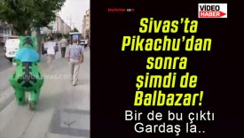 Pikachu’dan sonra şimdi de Balbazar!