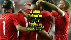 A Milli Takım’ın aday kadrosu açıklandı!