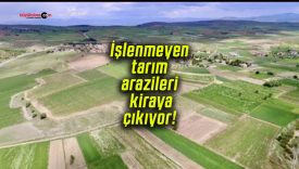 İşlenmeyen tarım arazileri kiraya çıkıyor!