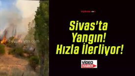 Sivas’ta Yangın! Hızla İlerliyor!