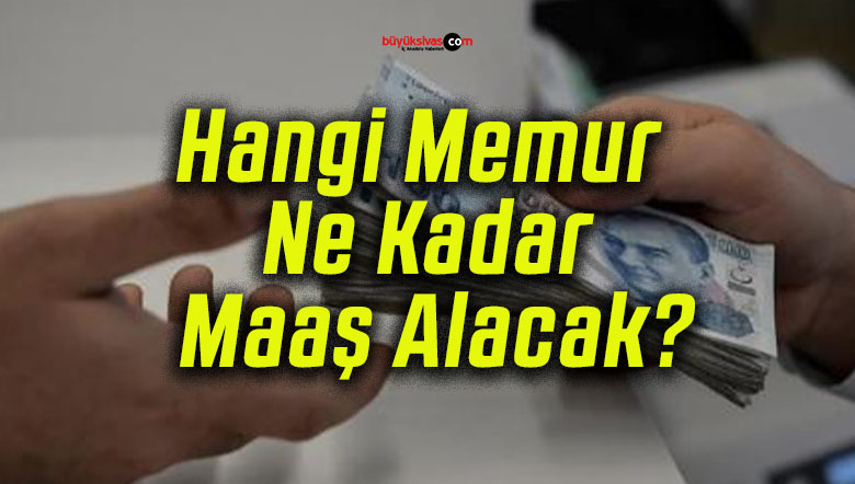 Hangi Memur Ne Kadar Maaş Alacak?