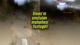 Sivas’ın unutulan mahallesi Tuzlugöl!