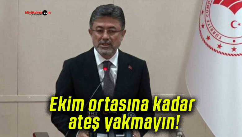 mayınsa