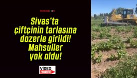 Sivas’ta çiftçinin tarlasına dozerle girildi! Mahsuller yok oldu!