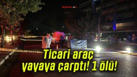 Ticari araç yayaya çarptı! 1 ölü!