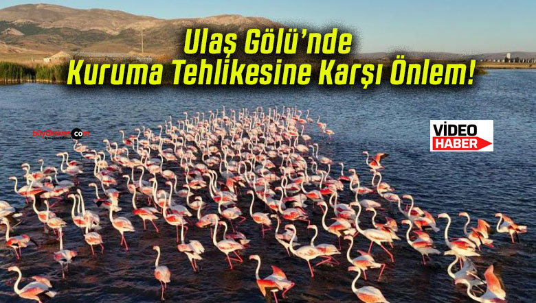 Ulaş Gölü’nde Kuruma Tehlikesine Karşı Önlem!