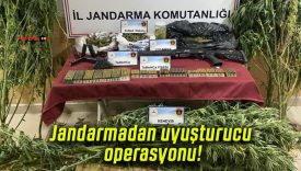 Jandarmadan uyuşturucu operasyonu!