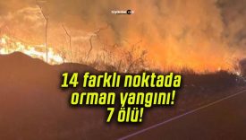 14 farklı noktada orman yangını! 7 ölü!