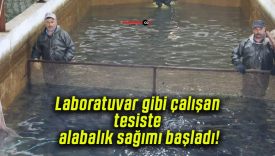 Laboratuvar gibi çalışan tesiste alabalık sağımı başladı!