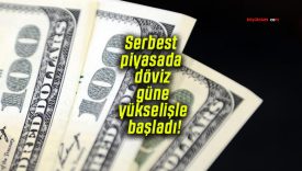 Serbest piyasada döviz güne yükselişle başladı!