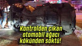 Kontrolden çıkan otomobil ağacı kökünden söktü! 