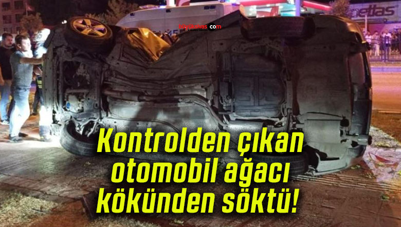 Kontrolden çıkan otomobil ağacı kökünden söktü! 
