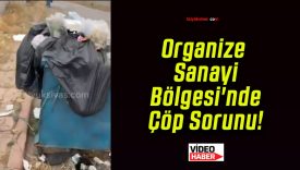 Organize Sanayi Bölgesi’nde Çöp Sorunu!