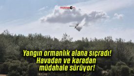 Yangın ormanlık alana sıçradı! Havadan ve karadan müdahale sürüyor!