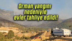 Orman yangını nedeniyle evler tahliye edildi!