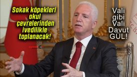 Sokak köpekleri okul çevrelerinden ivedilikle toplanacak!