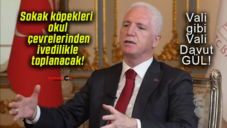 Sokak köpekleri okul çevrelerinden ivedilikle toplanacak!