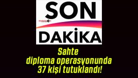 Sahte diploma operasyonunda 37 kişi tutuklandı!
