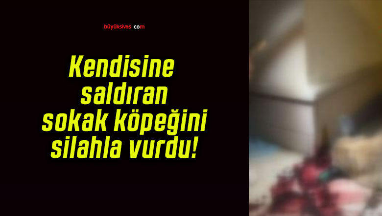 Kendisine saldıran sokak köpeğini silahla vurdu!