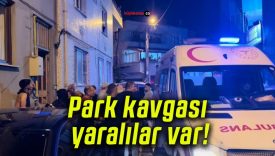 Park kavgası yaralılar var!