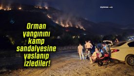Orman yangınını kamp sandalyesine yaslanıp izlediler!
