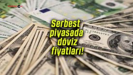 Serbest piyasada döviz fiyatları!