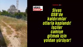 Sivas OSB’de kaldırımlar otlarla kaplandı! İşçiler camiye gitmek için yoldan yürüyor!