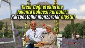 Tecer Dağı eteklerine lavanta bahçesi kurdular! Kartpostallık manzaralar oluştu!