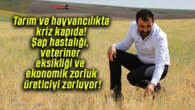 Tarım ve hayvancılıkta kriz kapıda! Şap hastalığı, veteriner eksikliği ve ekonomik zorluk üreticiyi zorluyor!