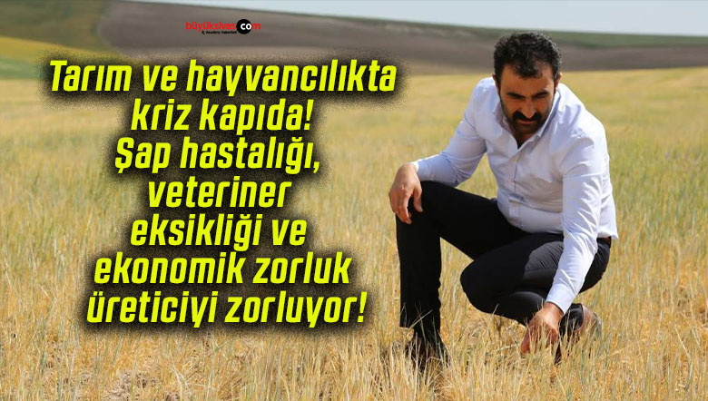 Tarım ve hayvancılıkta kriz kapıda! Şap hastalığı, veteriner eksikliği ve ekonomik zorluk üreticiyi zorluyor!