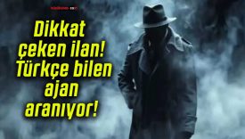 Dikkat çeken ilan! Türkçe bilen ajan aranıyor!