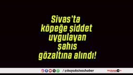 Sivas’ta köpeğe şiddet uygulayan şahıs gözaltına alındı!