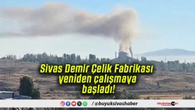 Sivas Demir Çelik Fabrikası yeniden çalışmaya başladı!