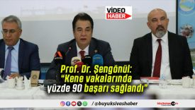 Prof. Dr. Şengönül: “Kene vakalarında yüzde 90 başarı sağlandı”