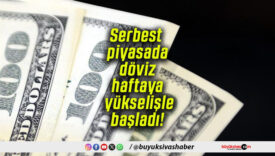 Serbest piyasada döviz haftaya yükselişle başladı!