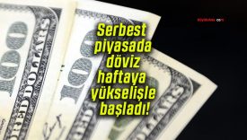 Serbest piyasada döviz haftaya yükselişle başladı!