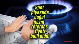 Spot piyasada doğal gazın referans fiyatı belli oldu!