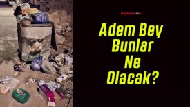 Adem Bey Bunlar Ne Olacak?
