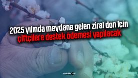 2025 yılında meydana gelen zirai don için çiftçilere destek ödemesi yapılacak
