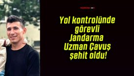 Yol kontrolünde görevli Jandarma Uzman Çavuş şehit oldu!