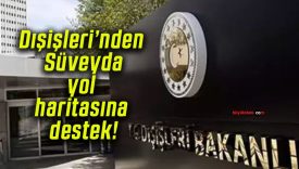 Dışişleri’nden Süveyda yol haritasına destek!