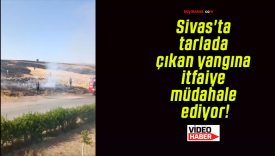Sivas’ta tarlada çıkan yangına itfaiye müdahale ediyor!