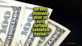 Serbest piyasada dolar ve euro haftaya yükselişle başladı!