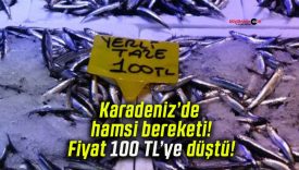 Karadeniz’de hamsi bereketi! Fiyat 100 TL’ye düştü!