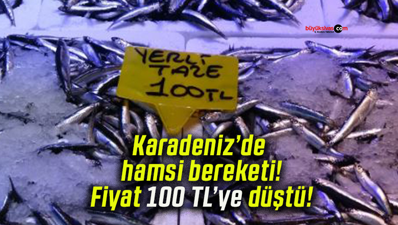 Karadeniz’de hamsi bereketi! Fiyat 100 TL’ye düştü!