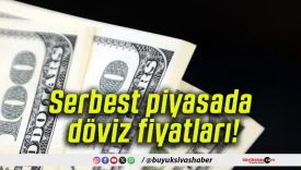 Serbest piyasada döviz fiyatları!